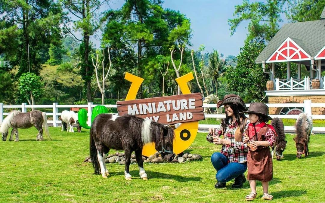Dairyland Riverside Puncak Tickets Image 1