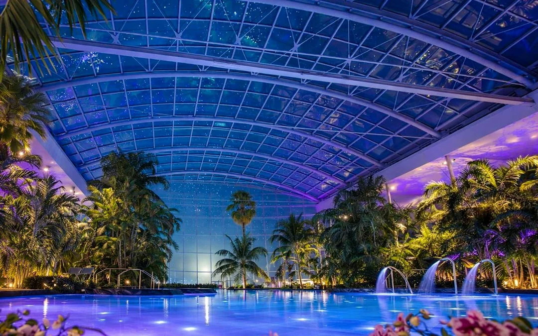Date Night at Therme Bucharest - Thermal Water, Relaxation & Just the Two of You Image 1