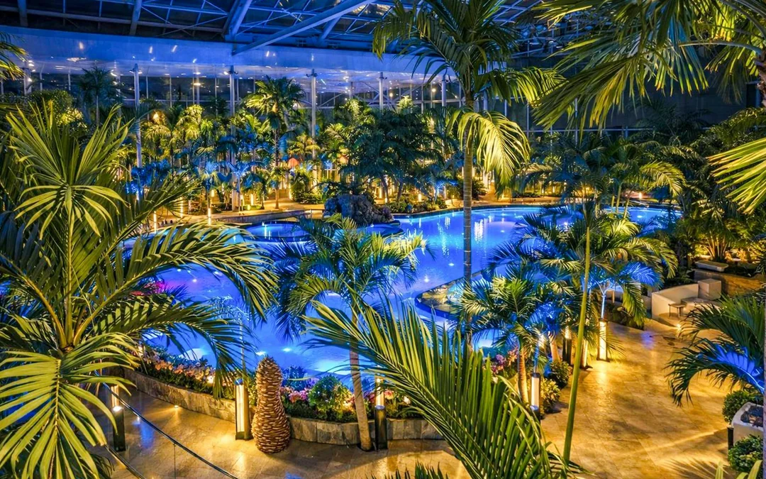 Date Night at Therme Bucharest - Thermal Water, Relaxation & Just the Two of You Image 5