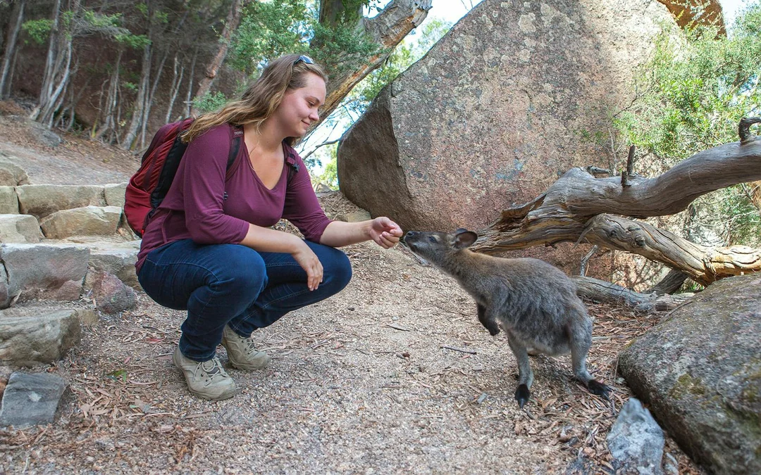Day Tour from Hobart to Launceston via Wineglass Bay Image 1