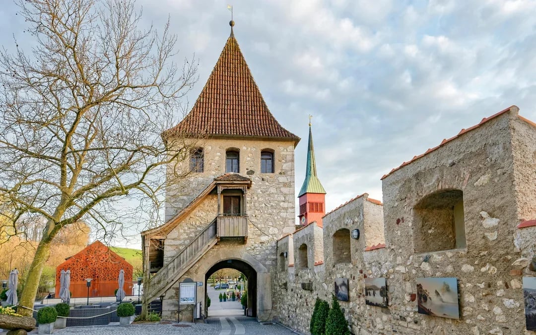 Day Trip From Zürich to Rhine Falls & Laufen Castle Image 3