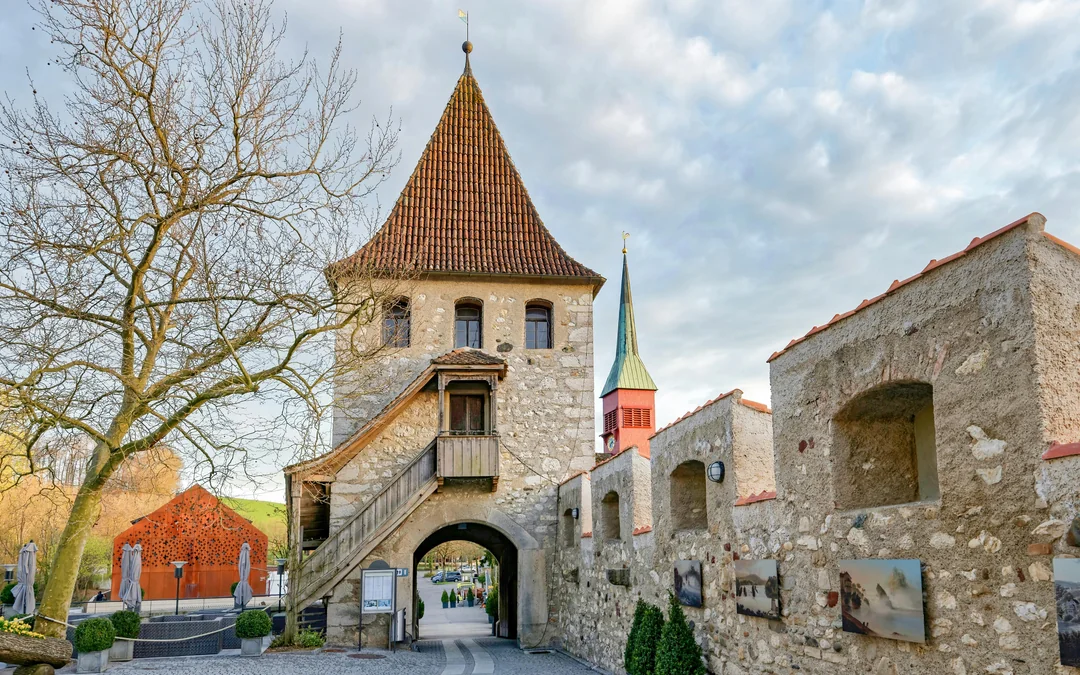 Day Trip From Zürich to Rhine Falls & Laufen Castle Image 3