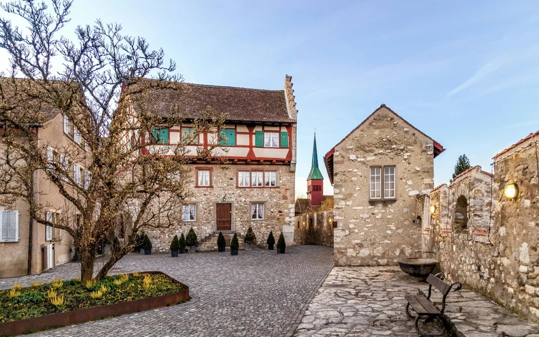 Day Trip From Zürich to Rhine Falls & Laufen Castle Image 4