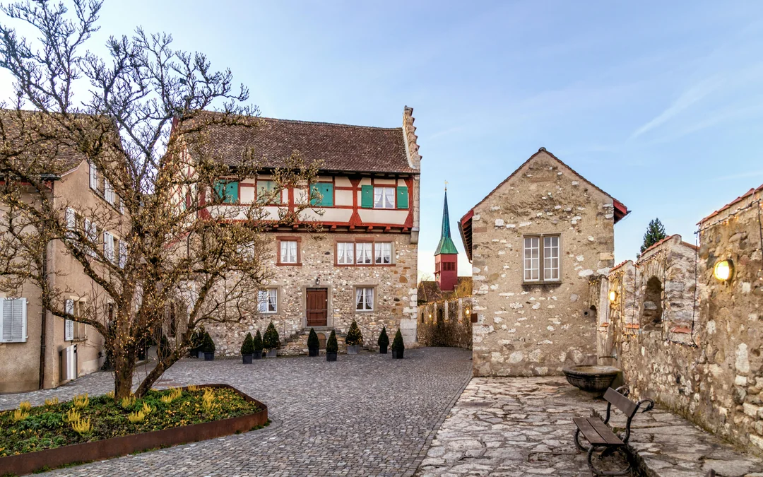 Day Trip From Zürich to Rhine Falls & Laufen Castle Image 4