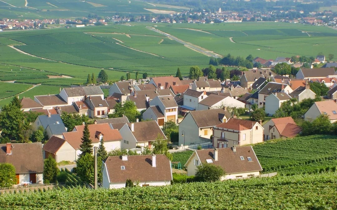 Day Trip to Champagne Region from Paris including Moët Chandon, Hautvillers and a Family Winery Image 6