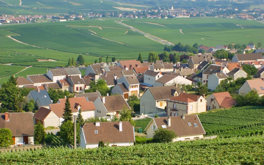 Day Trip to Champagne Region from Paris including Moët Chandon, Hautvillers and a Family Winery Image 6