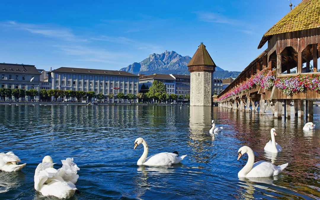 Day Trip to Lucerne from Zürich with Yacht Cruise Image 1