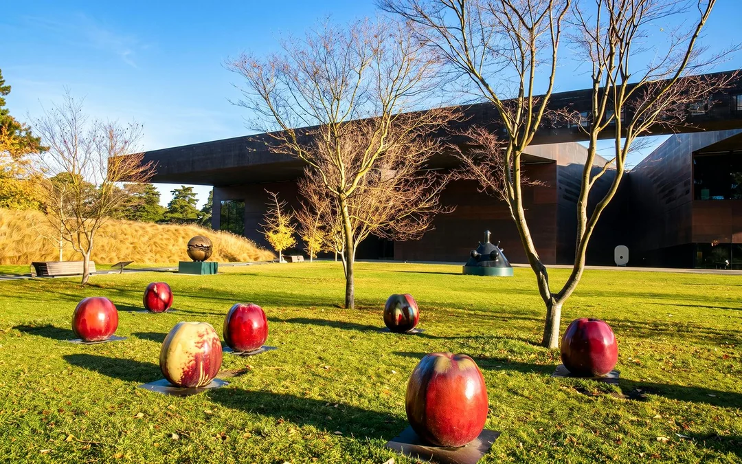 de Young Museum Tour Image 7