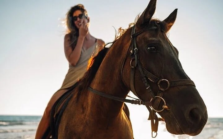 Desert and Red Sea Horseback Riding Experience with Hotel Transfers and Refreshments in Hurghada Image 1