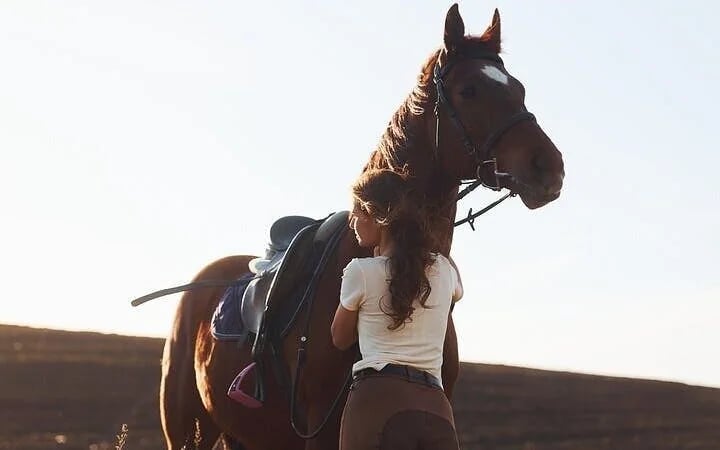 Desert and Red Sea Horseback Riding Experience with Hotel Transfers and Refreshments in Hurghada Image 2