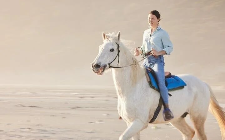 Desert and Red Sea Horseback Riding Experience with Hotel Transfers and Refreshments in Hurghada Image 4