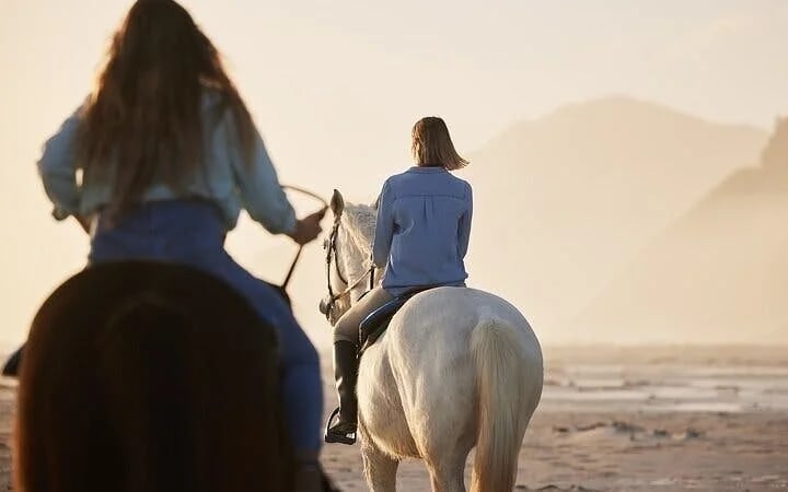 Desert and Red Sea Horseback Riding Experience with Hotel Transfers and Refreshments in Hurghada Image 5