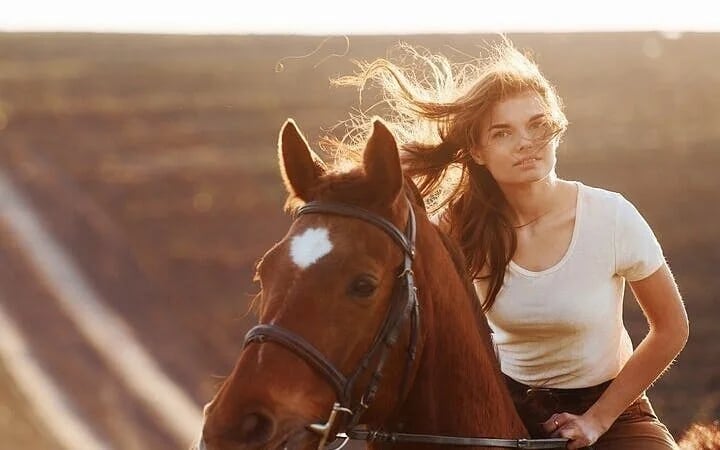 Desert and Red Sea Horseback Riding Experience with Hotel Transfers and Refreshments in Hurghada Image 6
