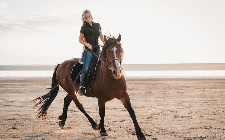Desert and Red Sea Horseback Riding Experience with Hotel Transfers and Refreshments in Hurghada Image 7