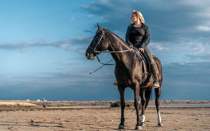 Desert and Red Sea Horseback Riding Experience with Hotel Transfers and Refreshments in Hurghada Image 8