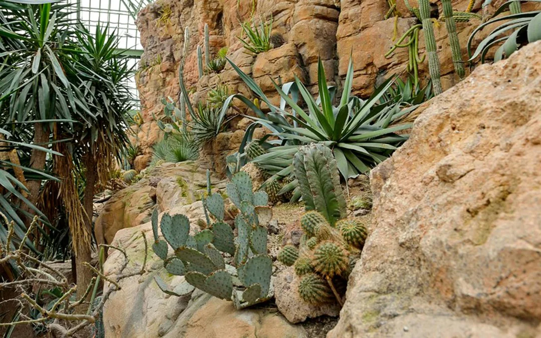 Desert House Skip-the-Line Ticket at Schönbrunn Zoo Image 5