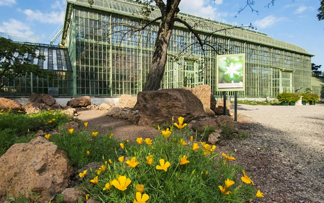 Desert House Skip-the-Line Ticket at Schönbrunn Zoo Image 9