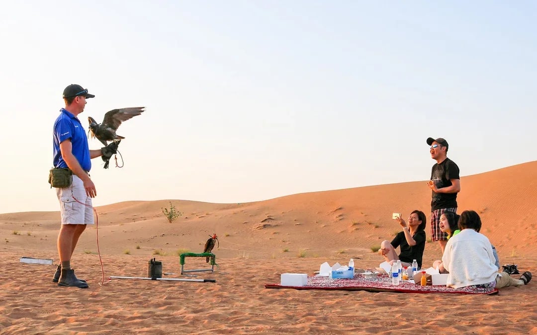 Desert Wonder: Evening Safari, Camel Farm Visit & BBQ Dinner Image 7