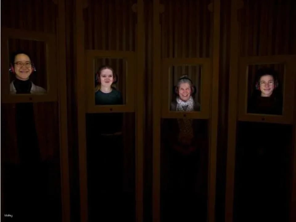 Dialogue in Silence immersive sensory guided exhibition