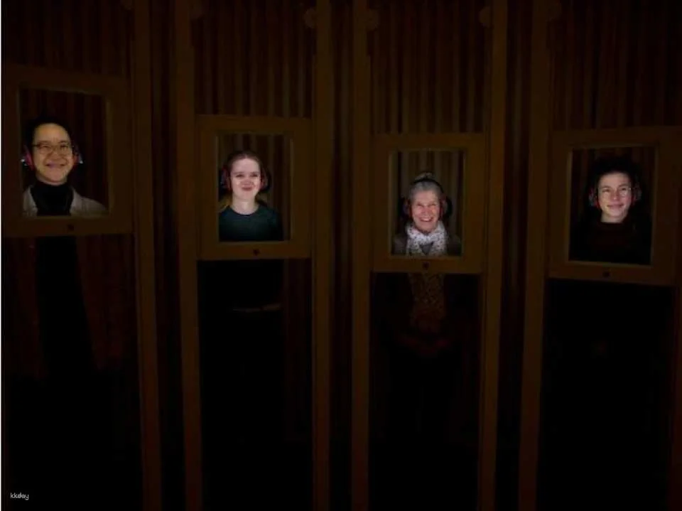 Dialogue in Silence immersive sensory guided exhibition