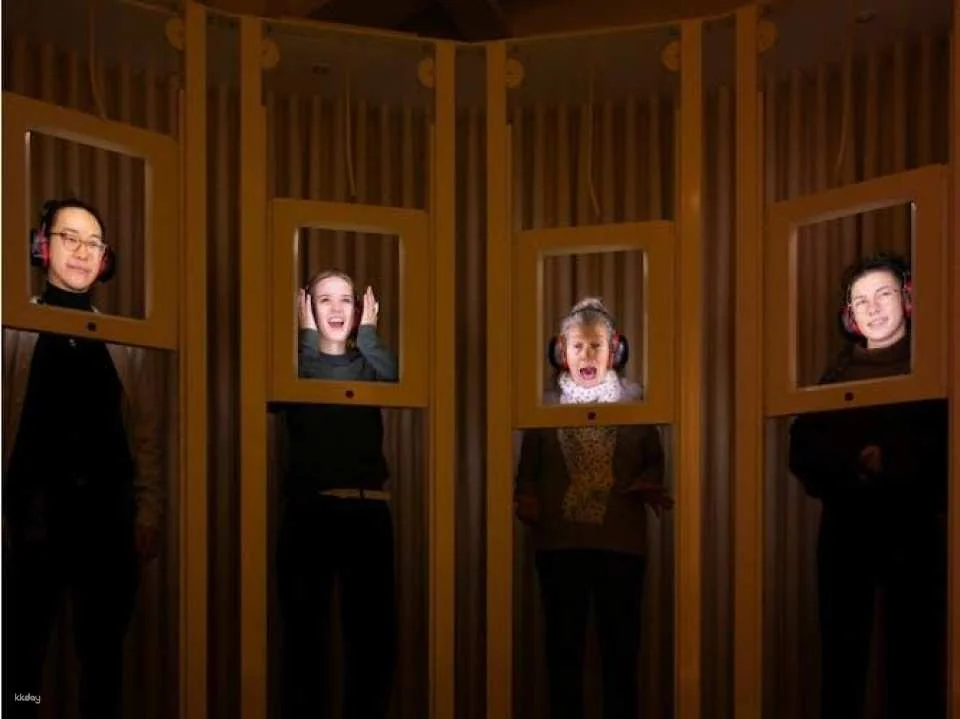 Dialogue in Silence immersive sensory guided exhibition