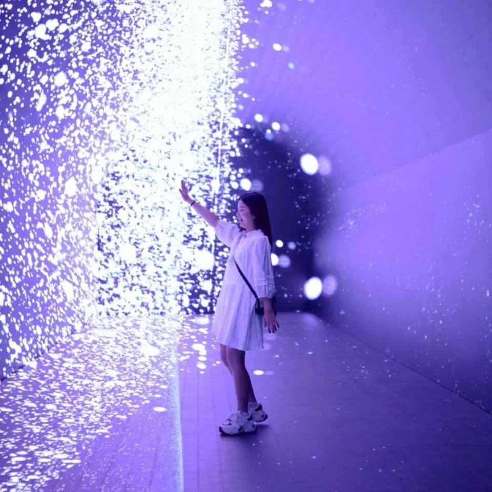 DigiPark Immersive Digital Park｜Sydney