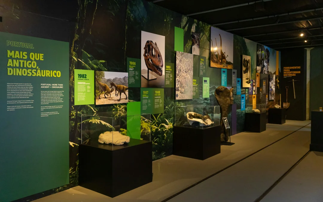 Dino Experience Image 3