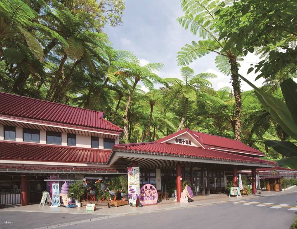 Dino Park Yanbaru Subtropical Forest Admission Ticket in Okinawa | Japan