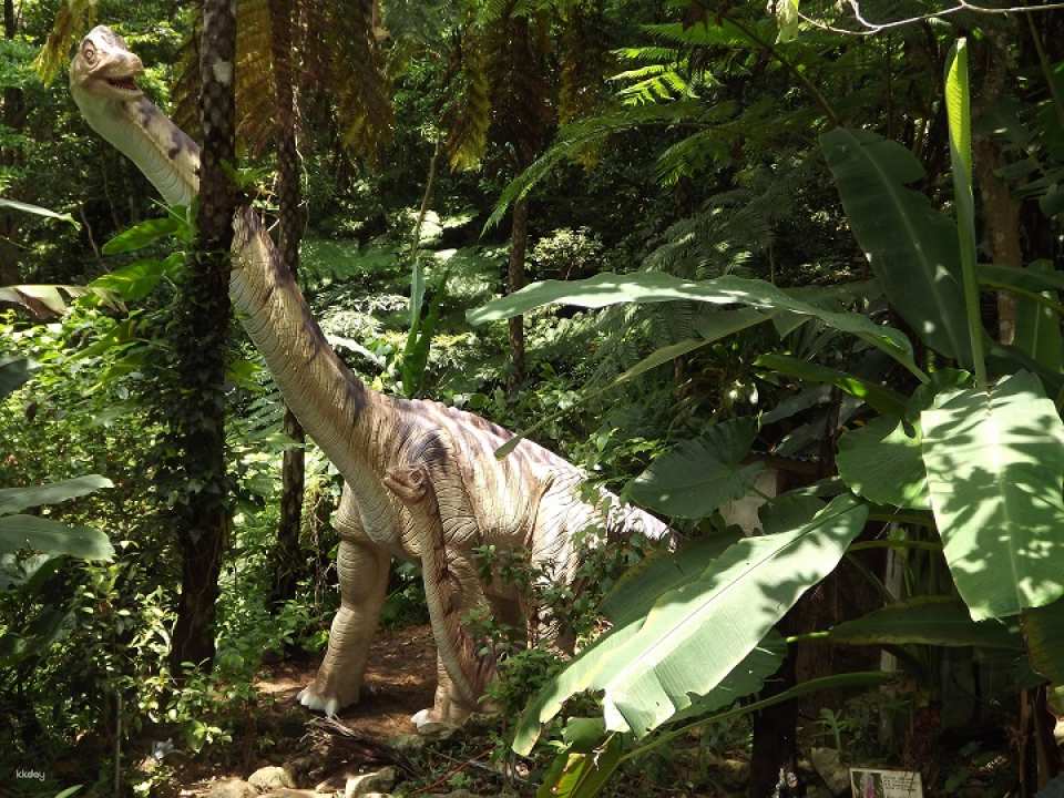 Dino Park Yanbaru Subtropical Forest Admission Ticket in Okinawa | Japan