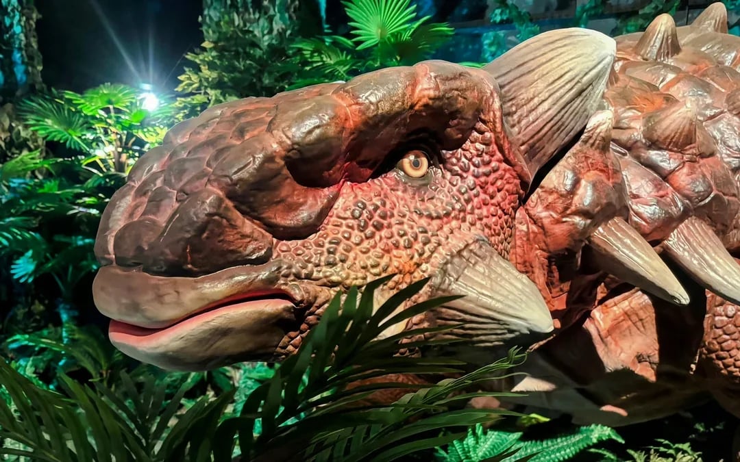 Dinosaurs: The Immersive Odyssey VR Experience Tickets with Museum Fossil Storage Access Image 7