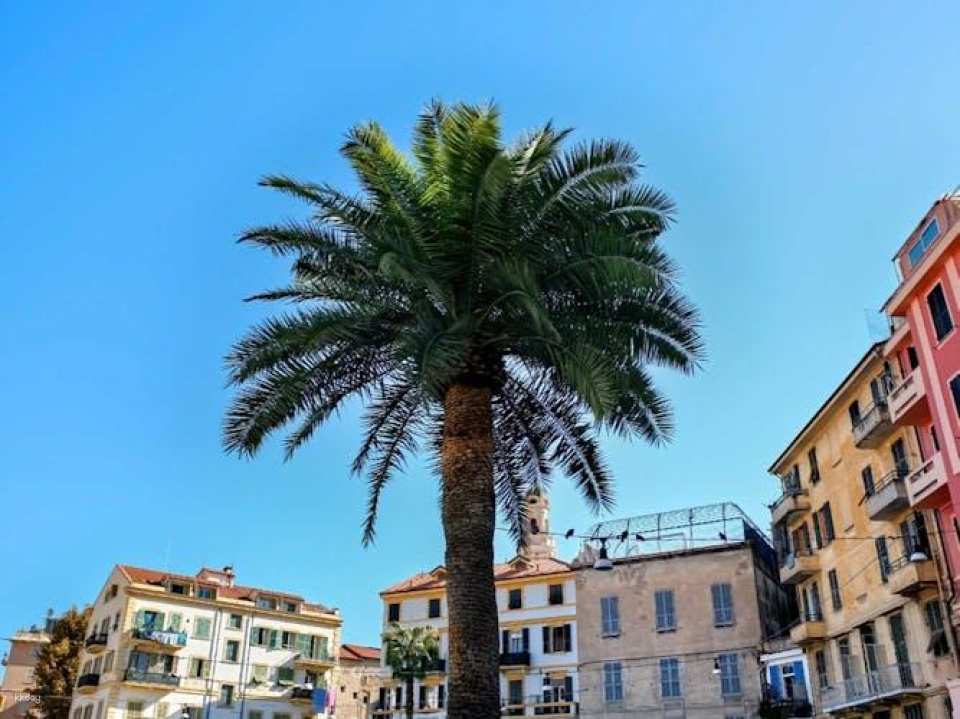Discover Antibes in 1 hour with a local