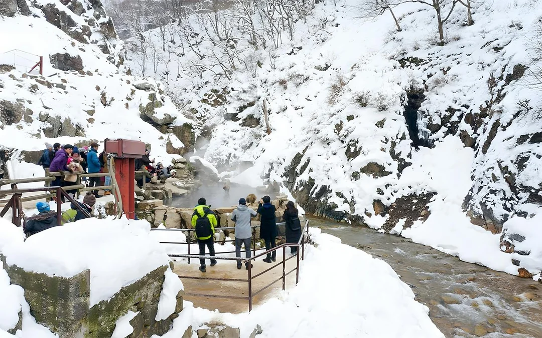 Discover Nagano: Zenko-ji, Sake Brewery & Snow Monkey Park Guided Tour Image 5