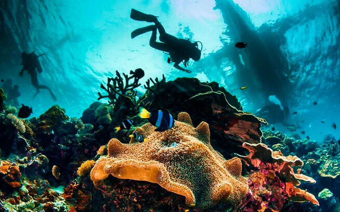 Discover Scuba Diving Dubai Image 3