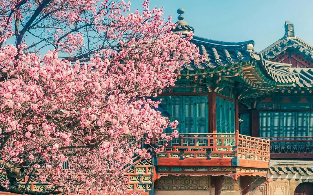 Discover Seoul Pass: 70+ Attractions Image 9
