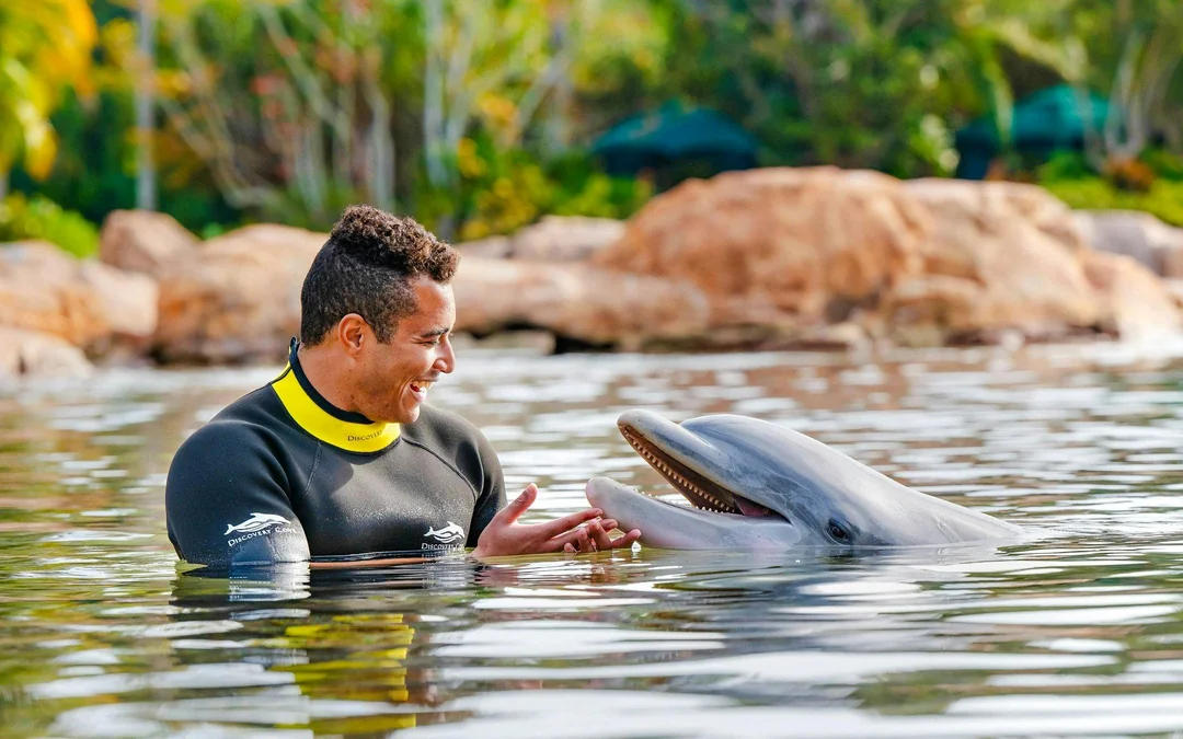 Discovery Cove Day Resort Tickets Image 2