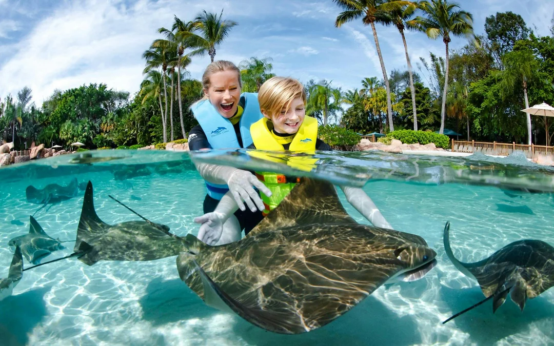 Discovery Cove Day Resort Tickets Image 3