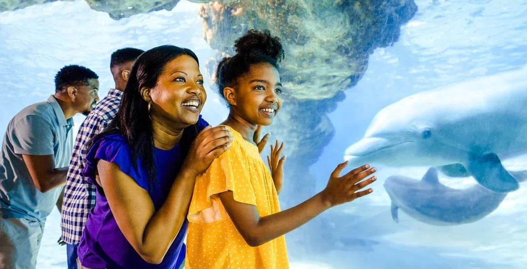 Discovery Cove Day Resort Tickets Image 7