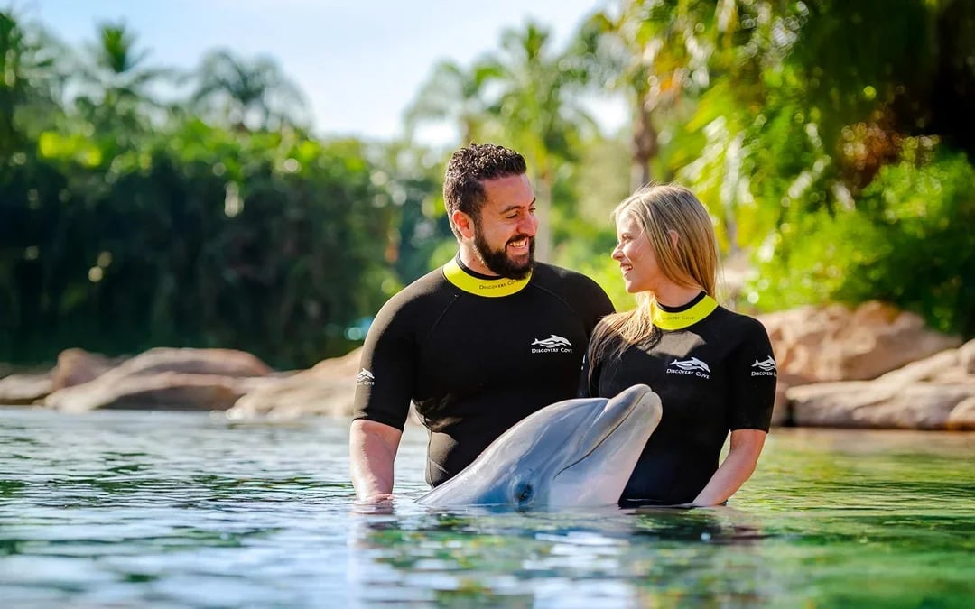 Discovery Cove Dolphin Swim Tickets Image 1