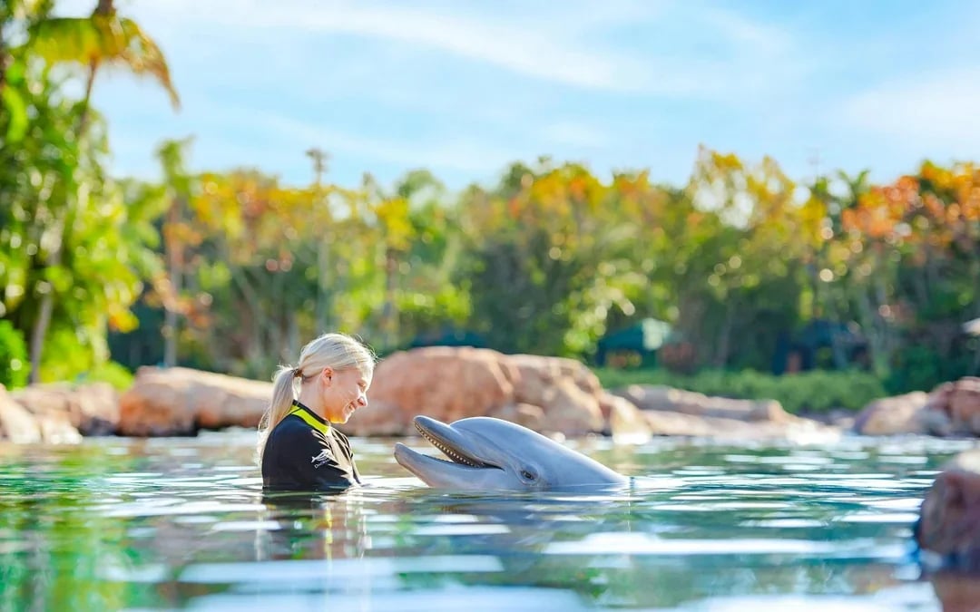 Discovery Cove Orlando Tickets Image 1