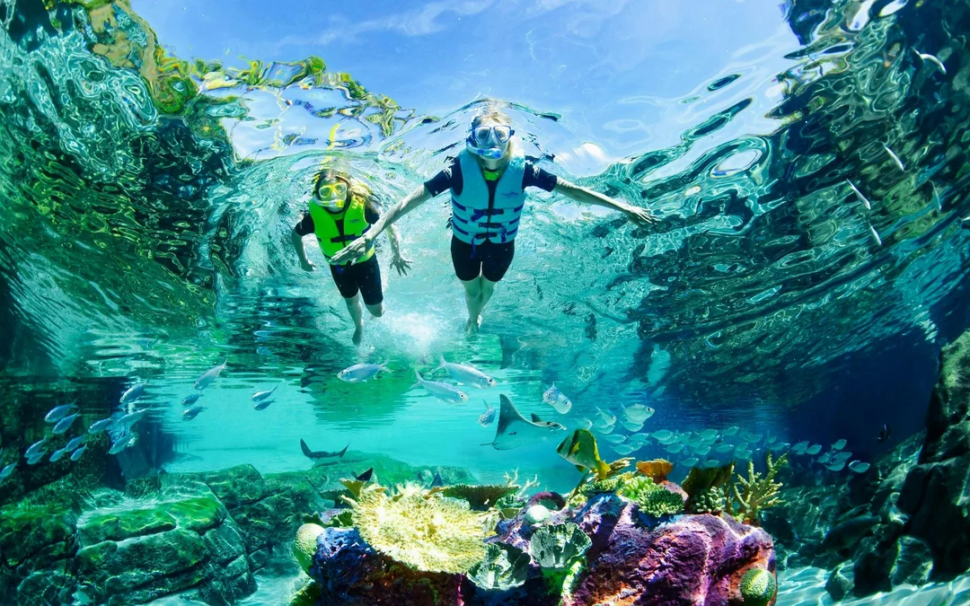 Discovery Cove Orlando Tickets Image 3