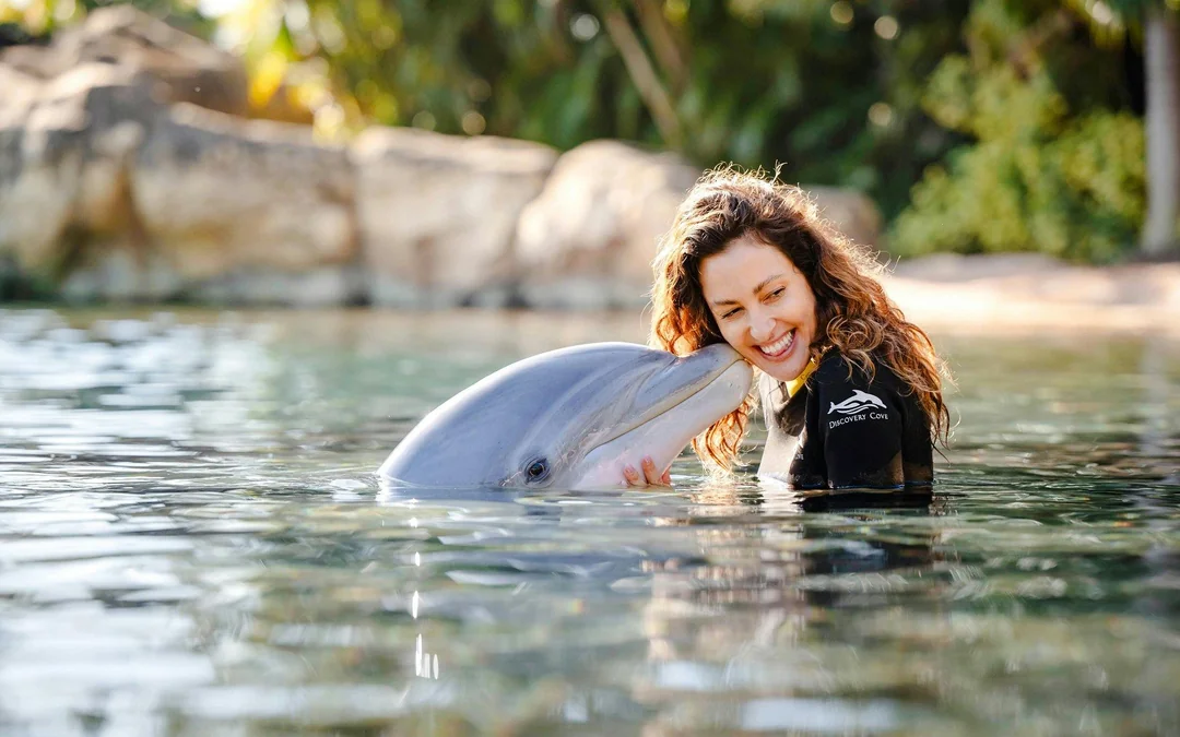 Discovery Cove Orlando Tickets Image 4