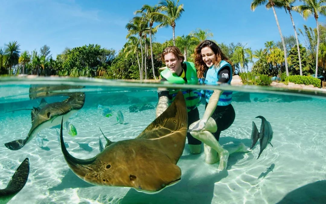 Discovery Cove Orlando Tickets Image 6