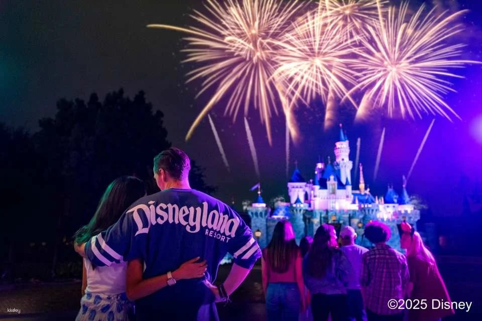 Disneyland Resort 1-Day Ticket with Round-Trip Transfer | Los Angeles