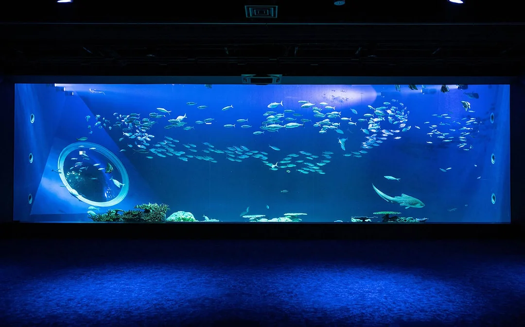 DMM Kariyushi Aquarium Admission Ticket Image 2
