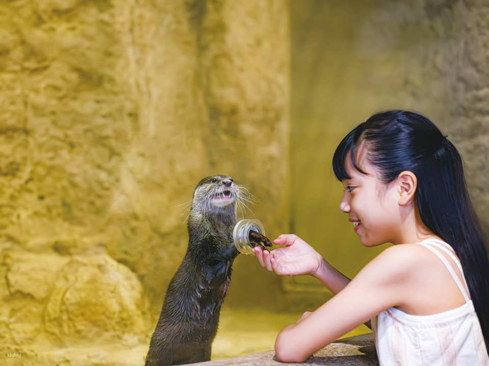 DMM Kariyushi Aquarium Ticket in Okinawa, Japan