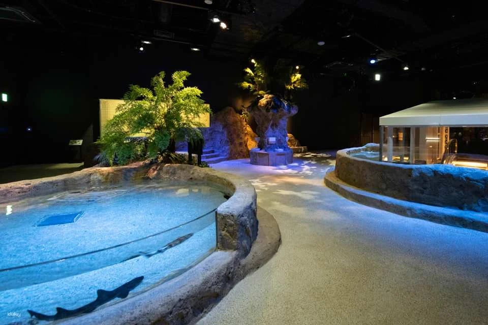DMM Kariyushi Aquarium Ticket in Okinawa, Japan