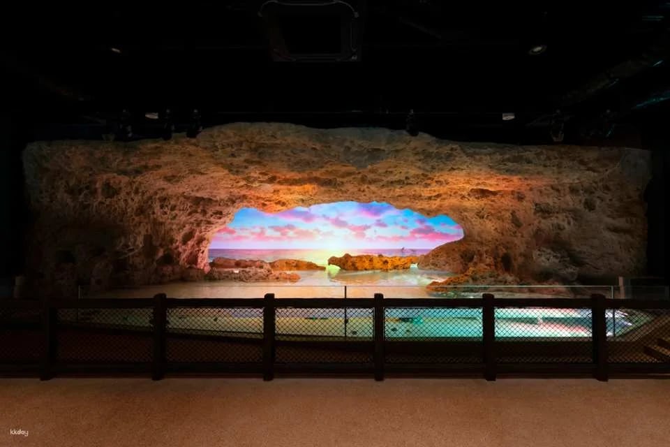 DMM Kariyushi Aquarium Ticket in Okinawa, Japan