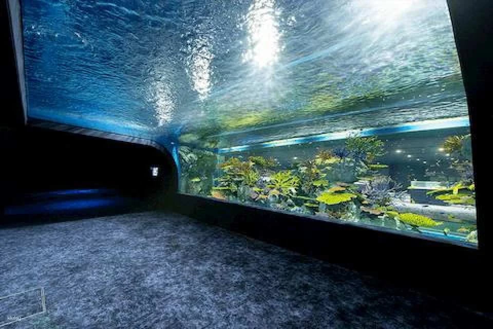 DMM Kariyushi Aquarium Ticket in Okinawa, Japan