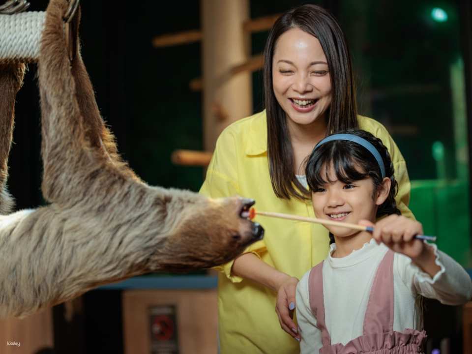 DMM Kariyushi Aquarium Tickets in Okinawa, Japan | Receive an Ice Cream Voucher