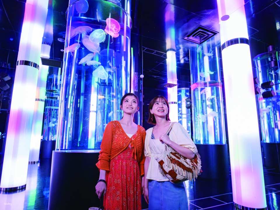 DMM Kariyushi Aquarium Tickets in Okinawa, Japan | Receive an Ice Cream Voucher